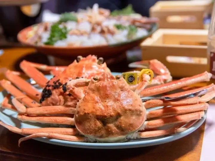 에치젠 게